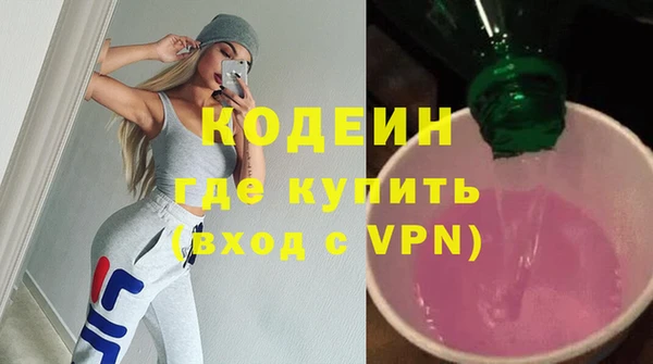 хмурый Инсар