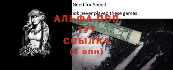 хмурый Инсар