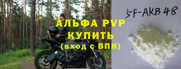 хмурый Инсар